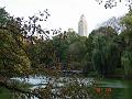 NJ_NY 195